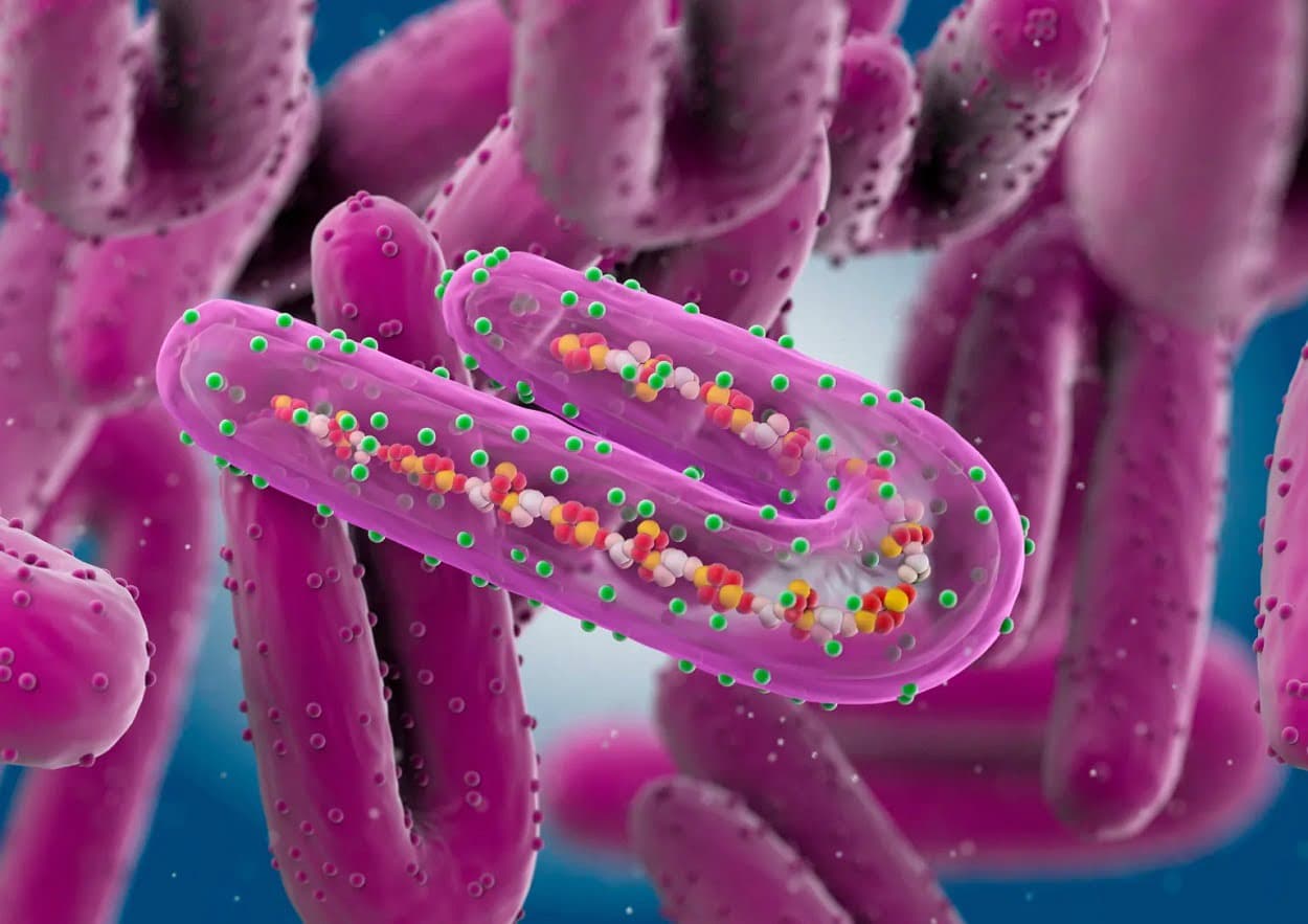 virus marburg