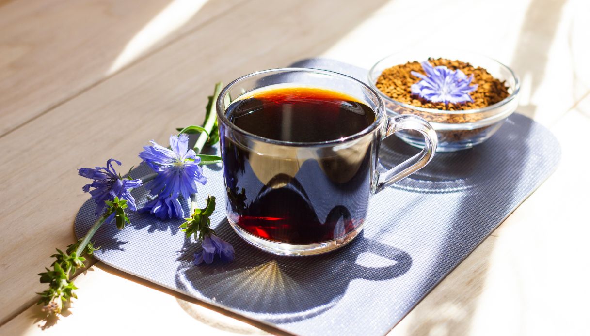 Caffe di cicoria