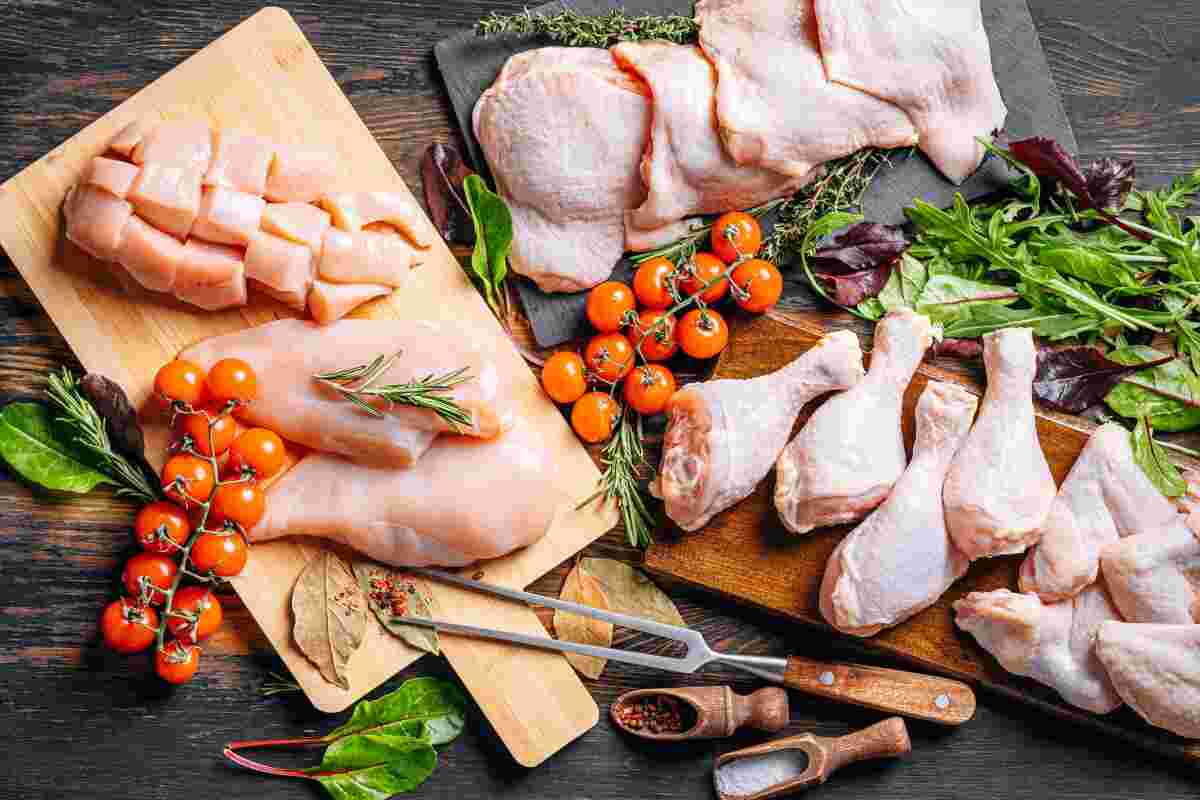 pollo 1