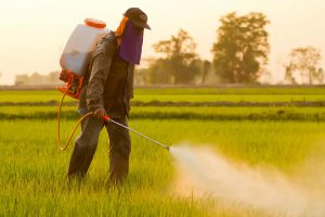 Grano canadese contaminato al glifosato: le importazioni in Italia sono aumentate di 6 volte Grano canadese contaminato al glifosato: le importazioni in Italia sono aumentate di 6 volte