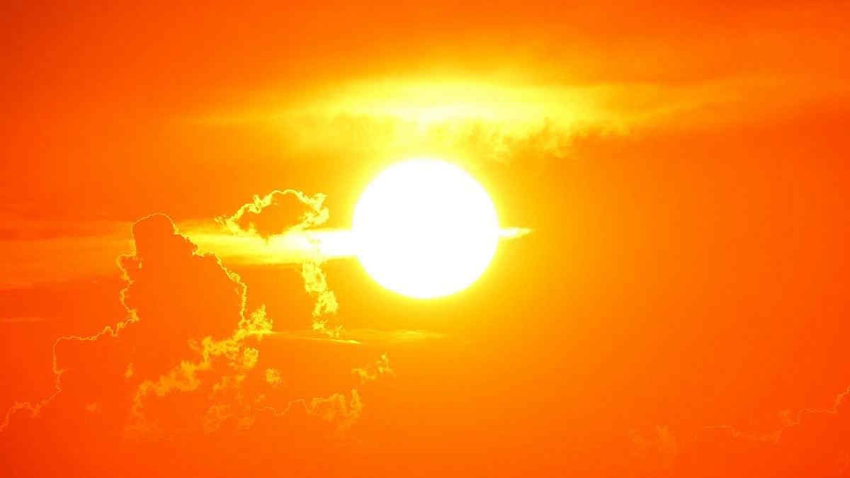 caldo 14