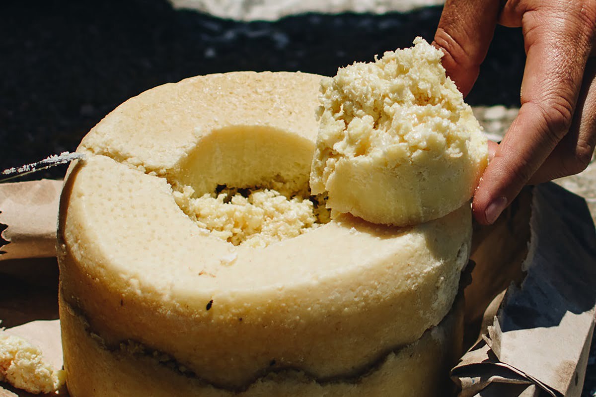 casu marzu