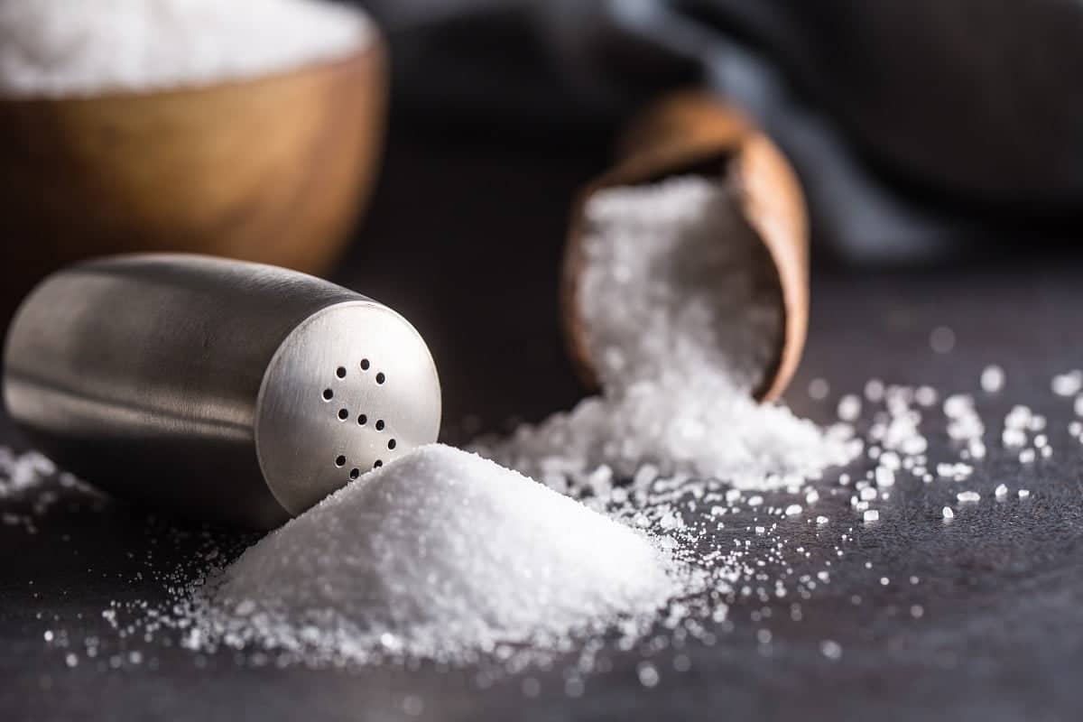 vecteezy mare e cucina minerale sale cucchiaio e shaker 27488382