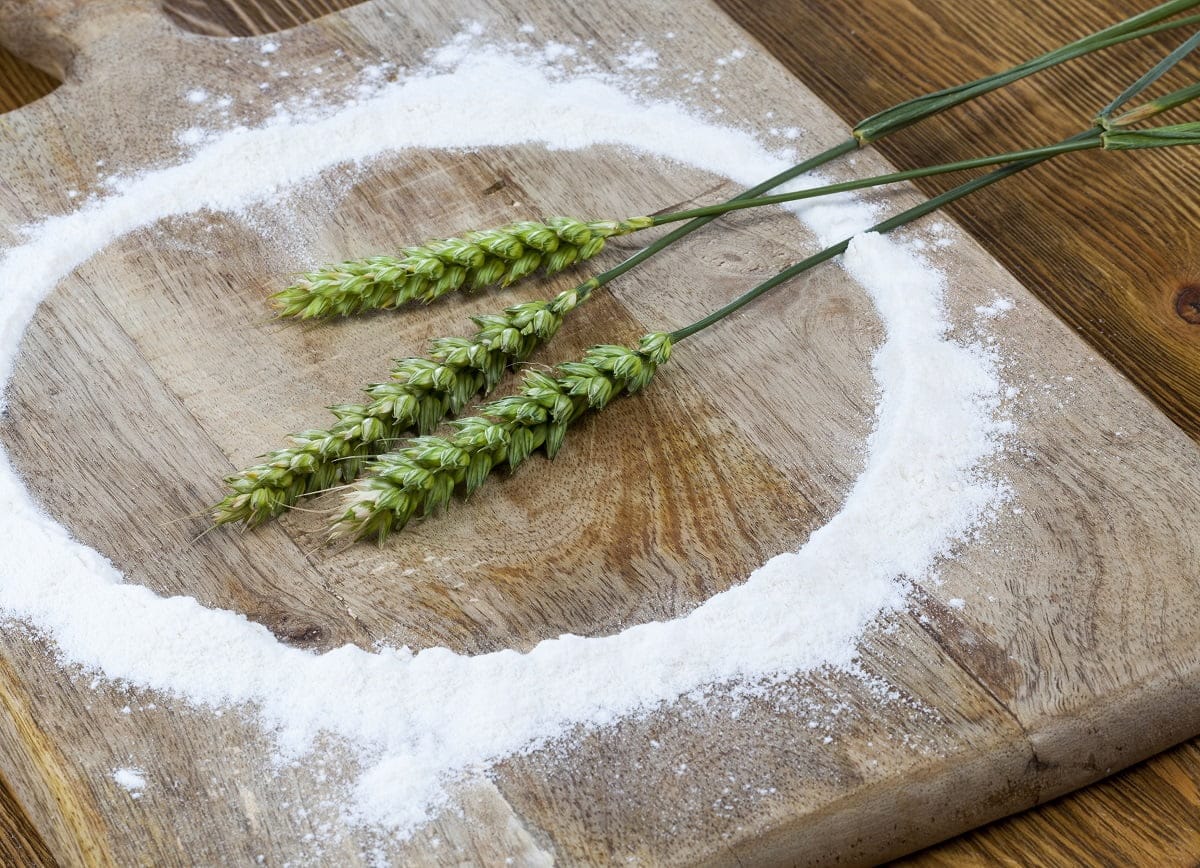 vecteezy spighe di grano da vicino 9670982