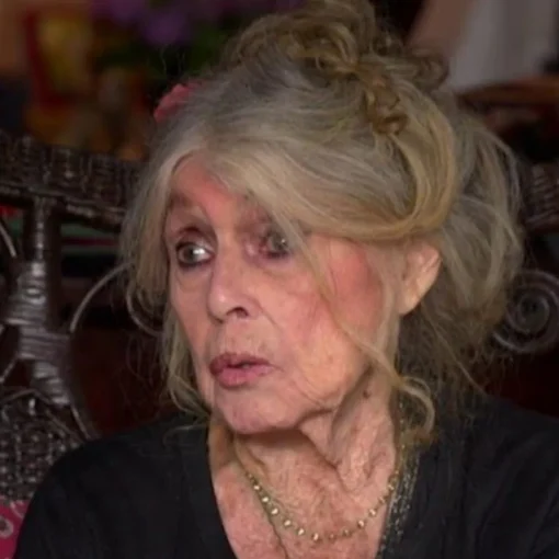 Brigitte Bardot rompe il silenzio: bordate contro Macron, Fetival di cannes e femminismo