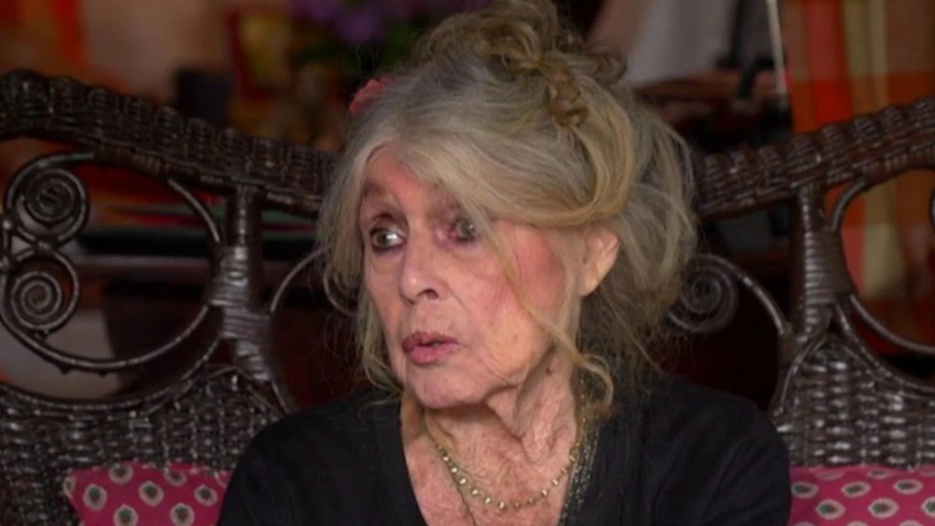 Brigitte Bardot Sferza il Mondo dello Spettacolo: Attacco a Macron, Cannes e l'Evoluzione del Femminismo